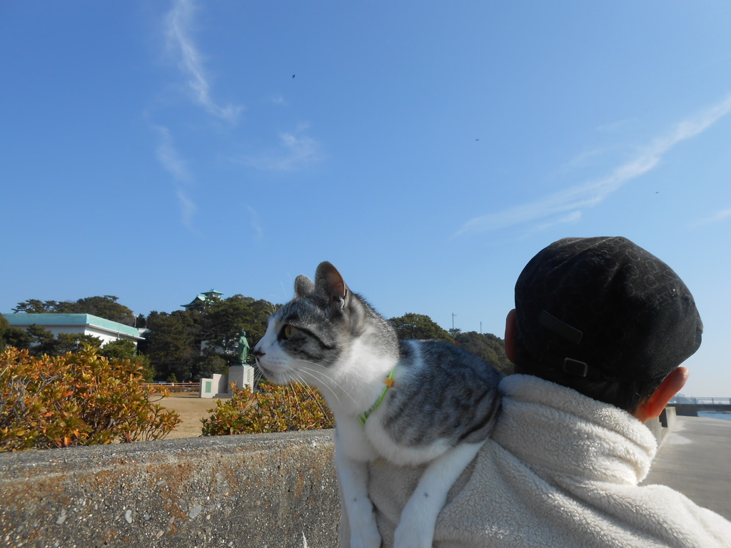 楽ちん移動中