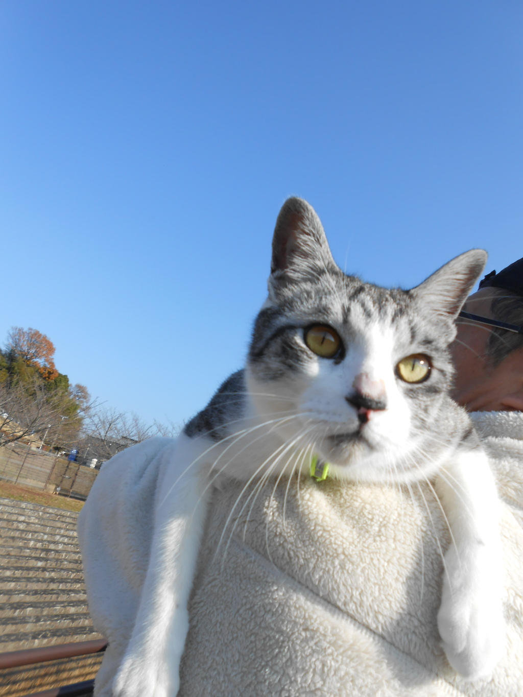 歩きたいな。。