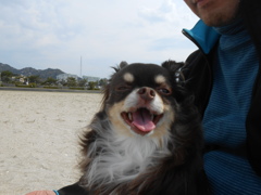 いい顔ですね(*´▽｀*)