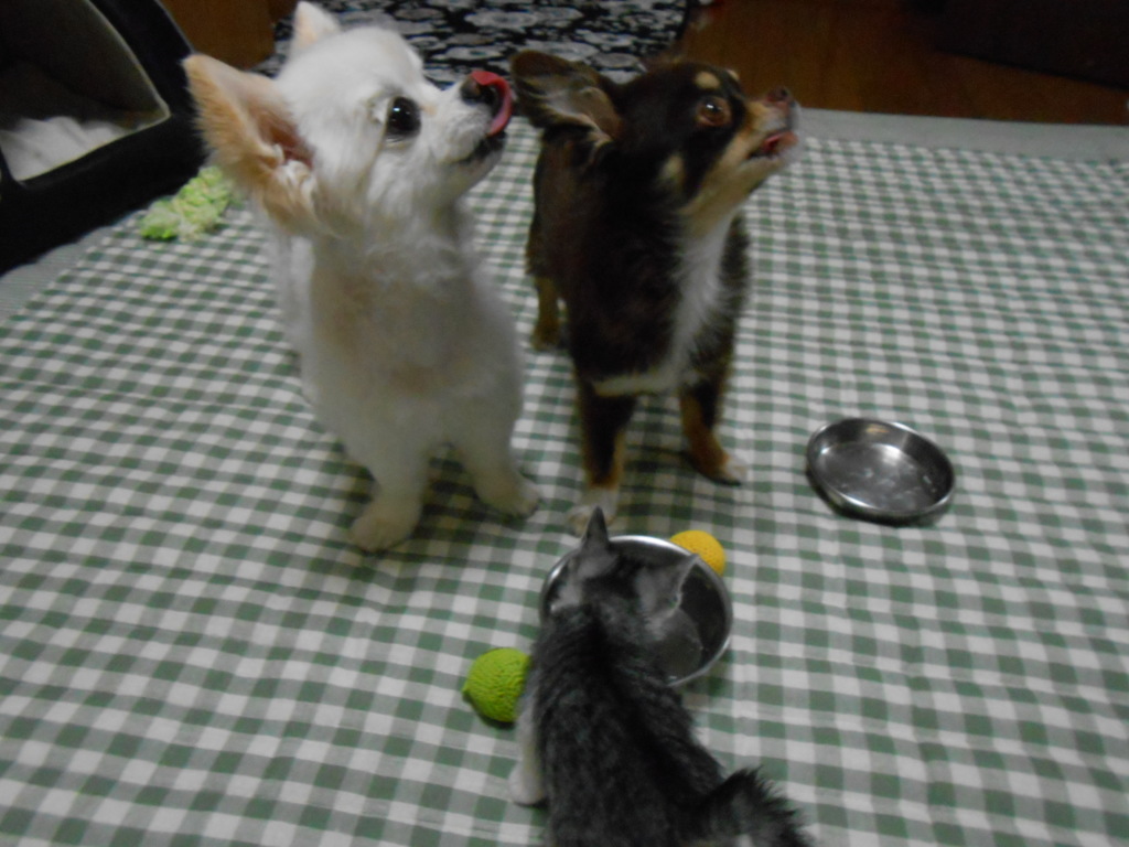 今がチャンス！