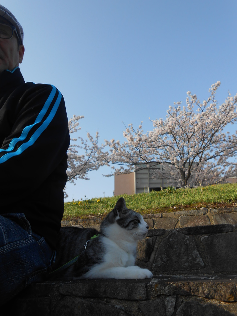 The 男同士(暑いので日陰で休憩中)