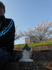 The 男同士(暑いので日陰で休憩中)