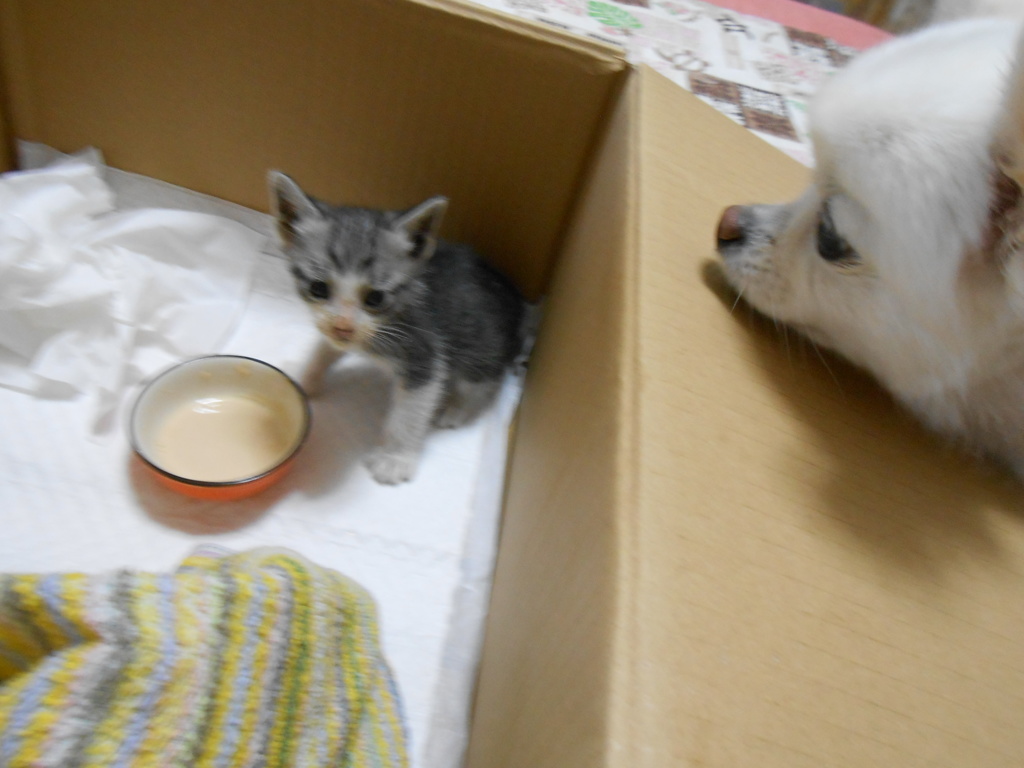 こんにちはーー