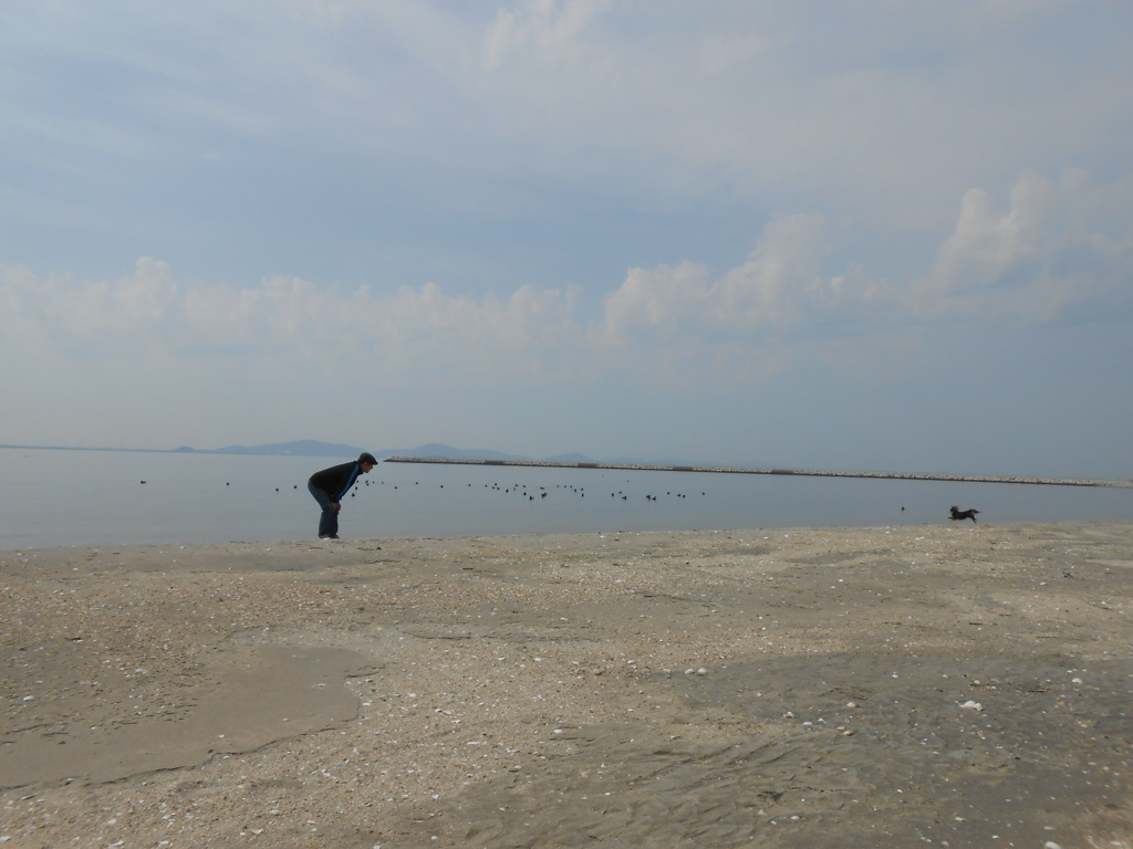 おとーさーん(再会ごっこ中)