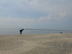 おとーさーん(再会ごっこ中)