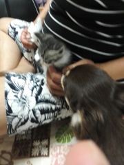 こんにちは！！　