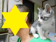 お父さんと一緒にテレビ観賞中