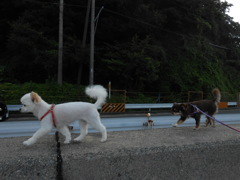 いくぞ！あくびどん