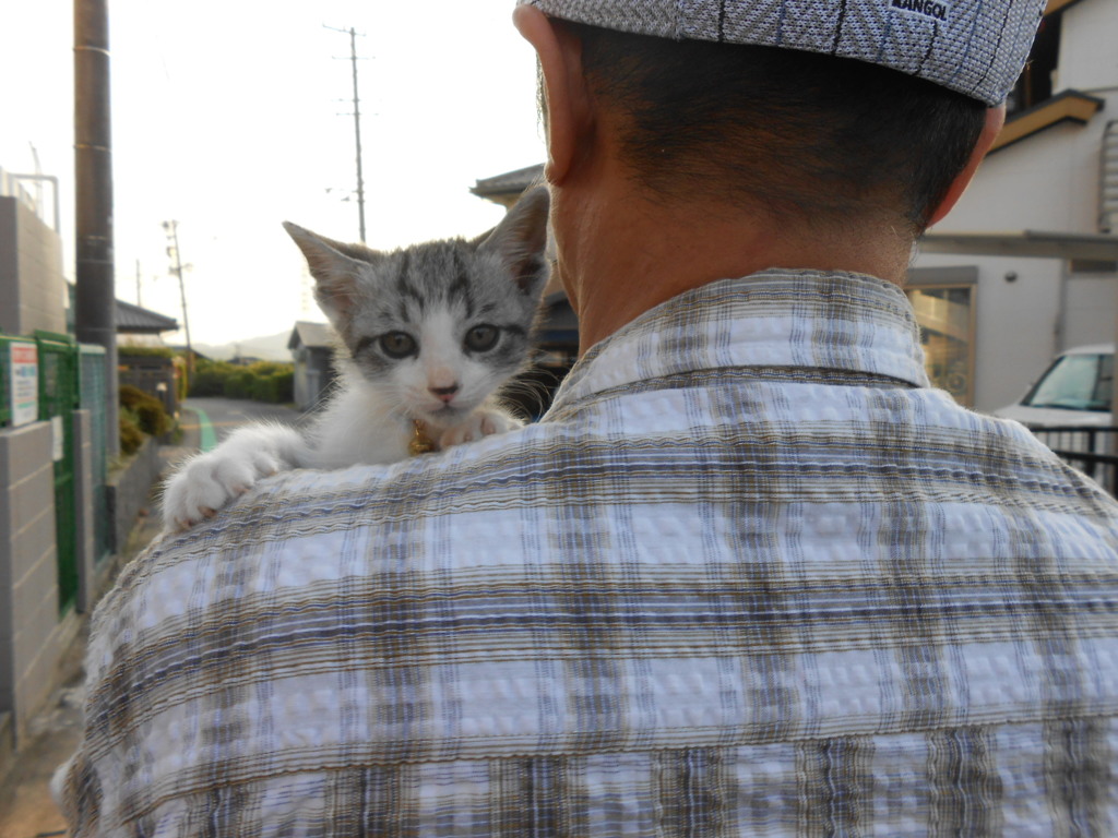 初めてのお散歩