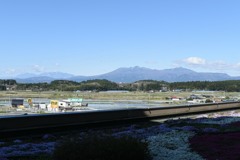 退院の朝