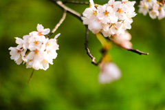 LRM_EXPORT_20180328_121311