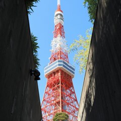 東京タワー