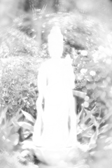 実体が無い