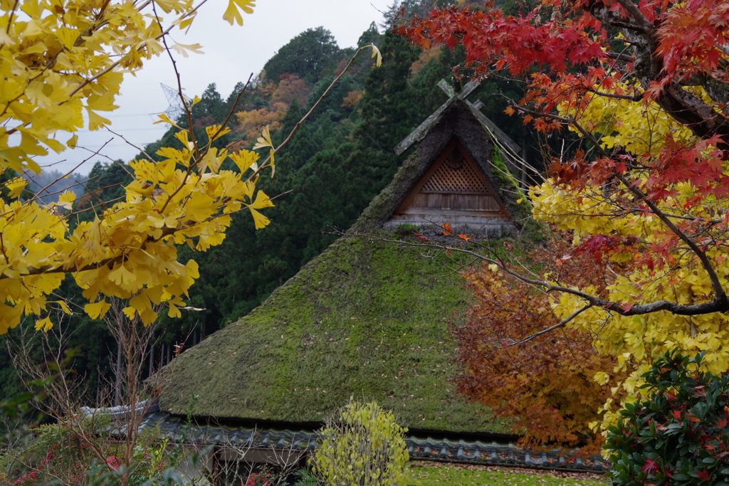 美山