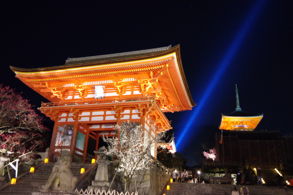 京都東山花灯路2017