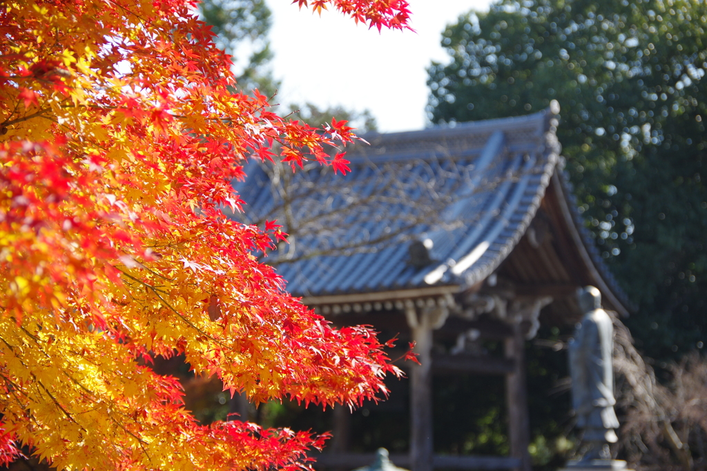 光明寺