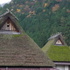 美山