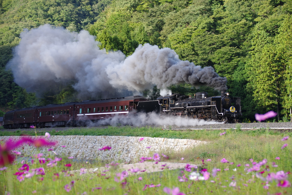 ＳＬやまぐち号