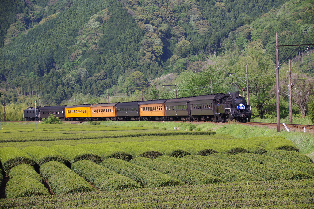 大井川鉄道