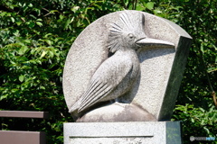 ヤマセミの、、