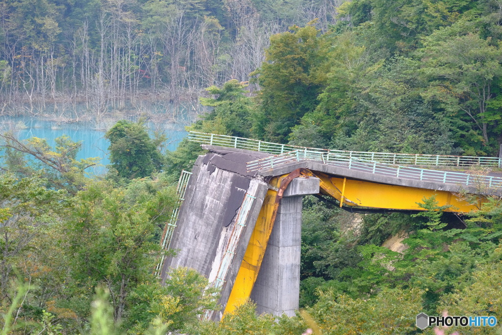 言葉を失う光景