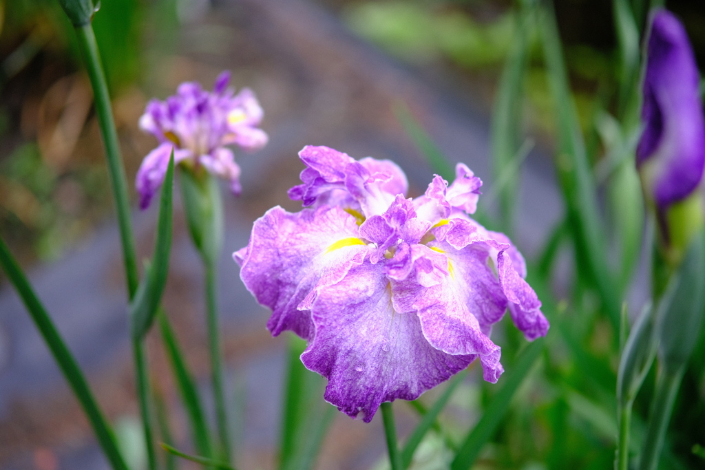 園内お気に入り　その８