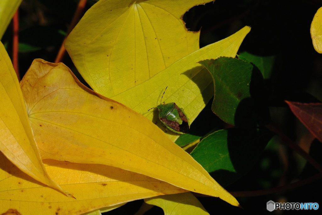 ダム湖のほとりに