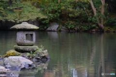 庭園にて