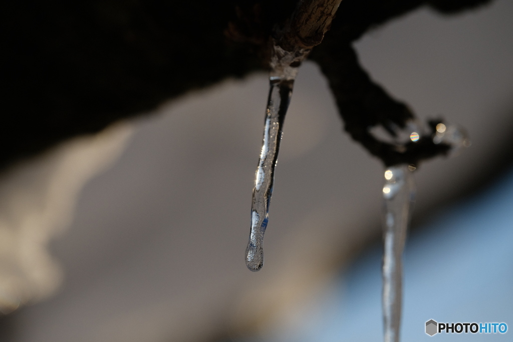 氷柱