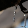 氷柱