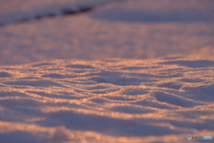 染まる雪面