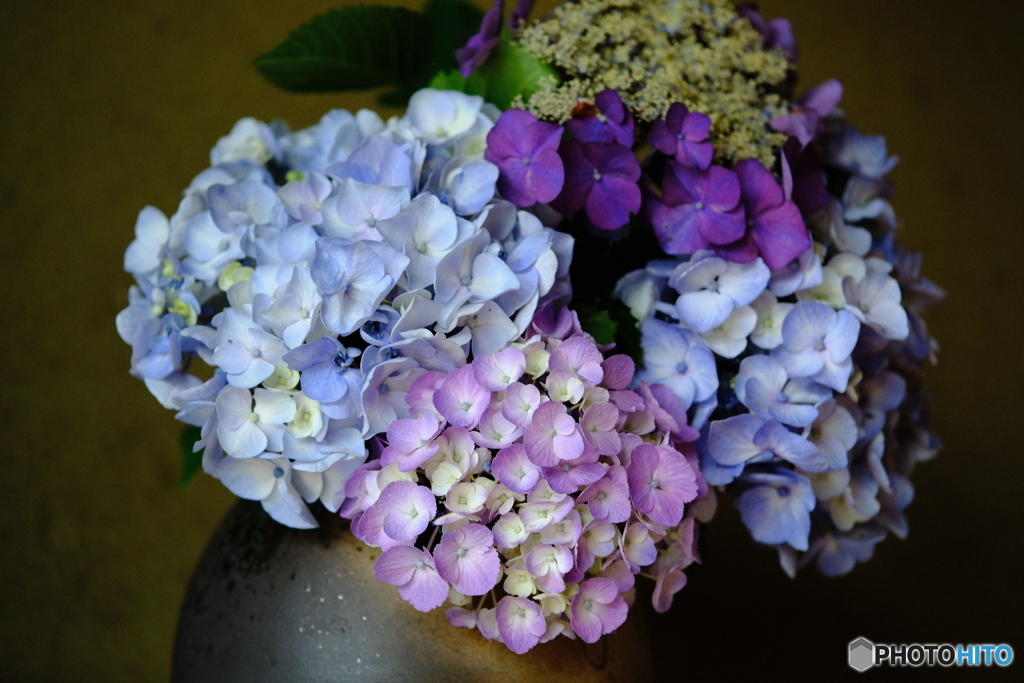 玄関の生け花