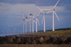 浜に連なる風車