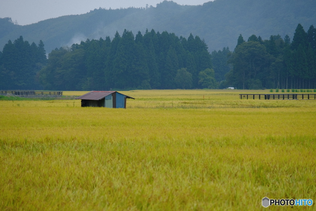 里山の風景