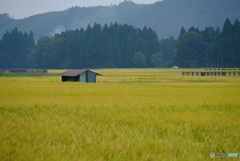 里山の風景