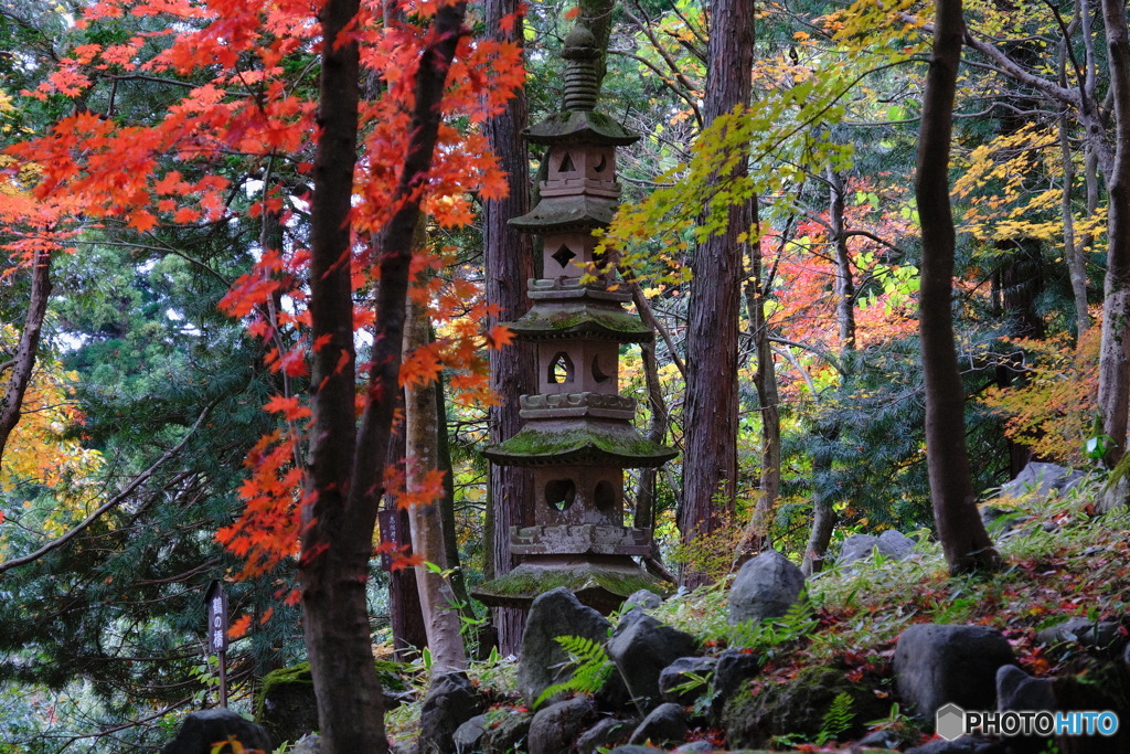庭園の五重塔