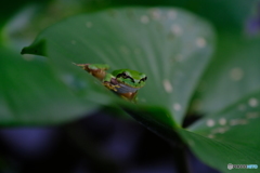 斜めでも余裕