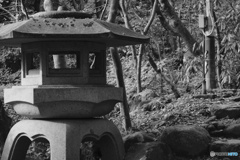 庭園の灯篭