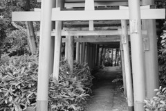鳥居