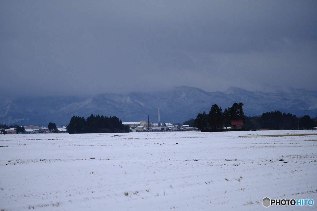 冬の田園
