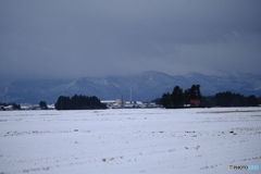 冬の田園