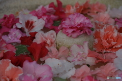 お花いっぱい！