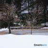 雪覆う池