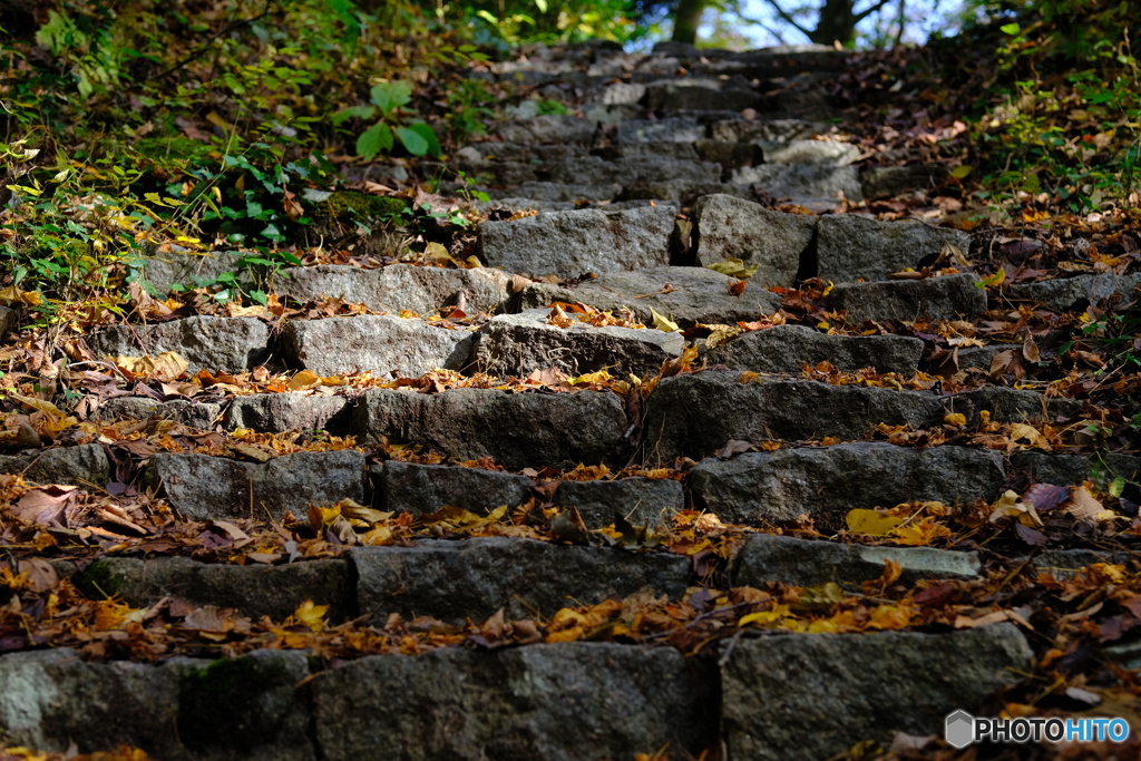 散策道の石段