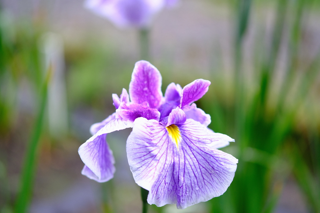 園内お気に入り　その７
