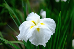 園内お気に入り　その３