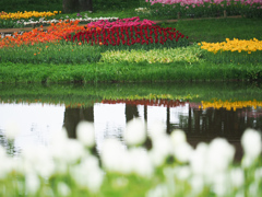 春の公園
