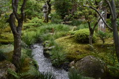 天龍寺にて
