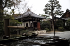 京都 建仁寺 裏庭の手水