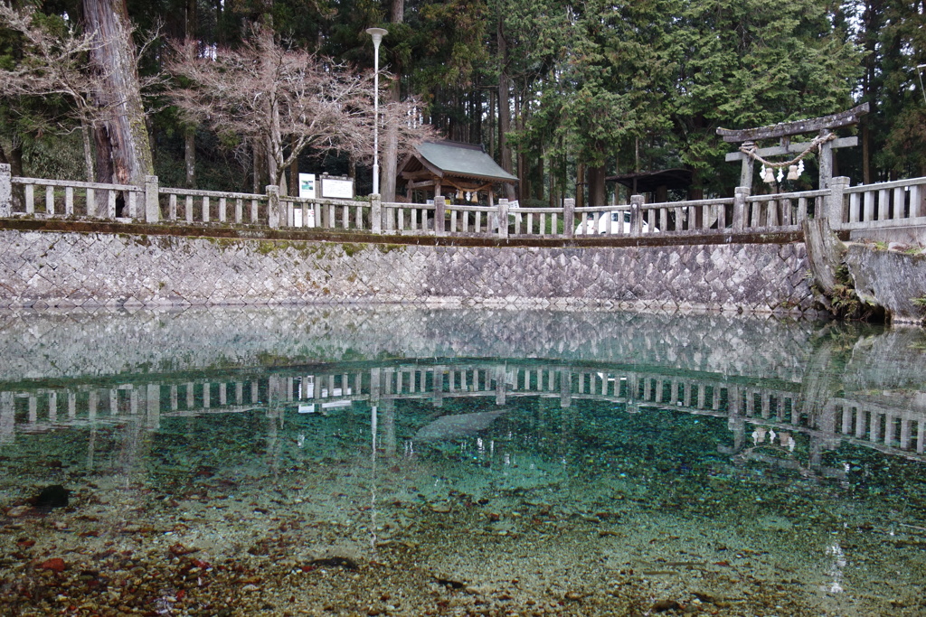 別府の弁天池